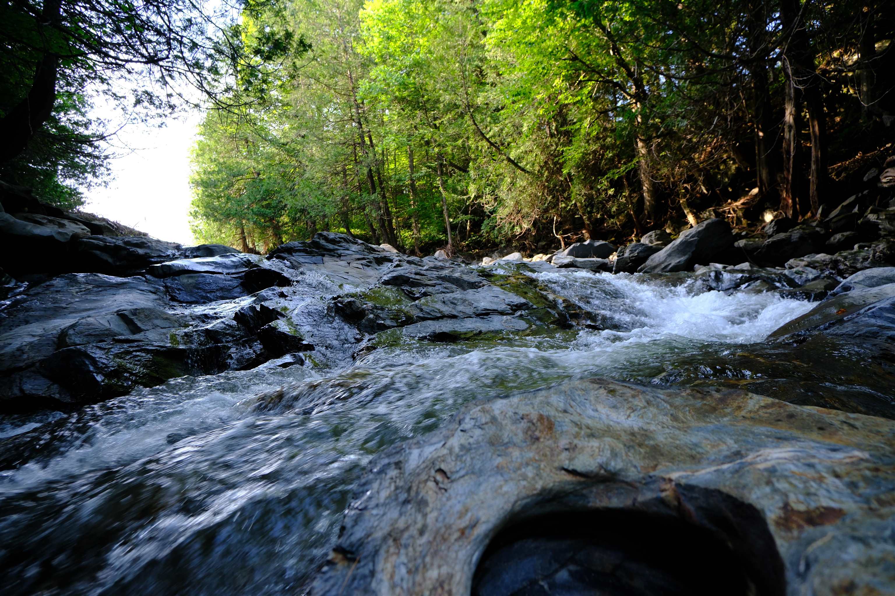 0 Calendar Brook Road Lyndonville, VT 05851 - Photo 19 of 60