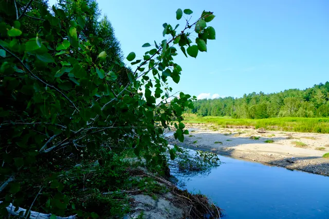 $295,000 | 0 Calendar Brook Road, Lyndonville, VT 05851