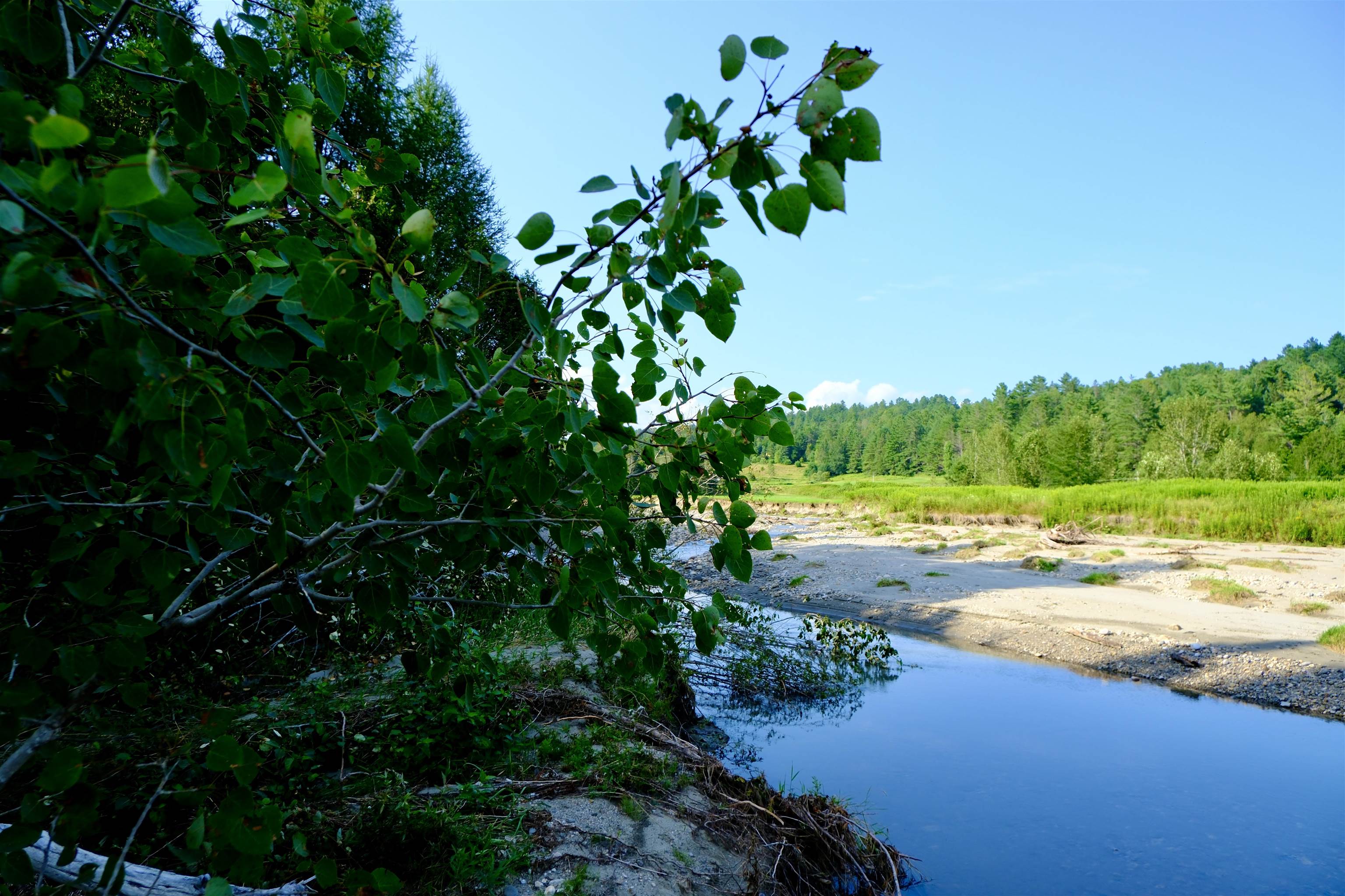 0 Calendar Brook Road Lyndonville, VT 05851 - Photo 20 of 60