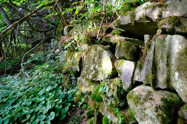 $295,000 | 0 Calendar Brook Road, Lyndonville, VT 05851