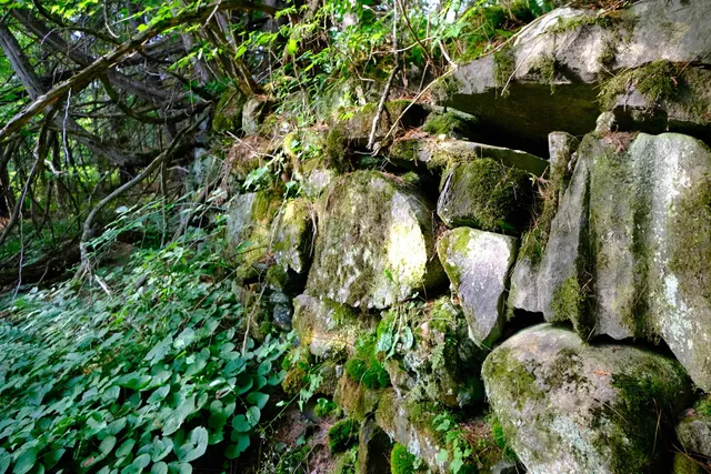 $295,000 | 0 Calendar Brook Road, Lyndonville, VT 05851