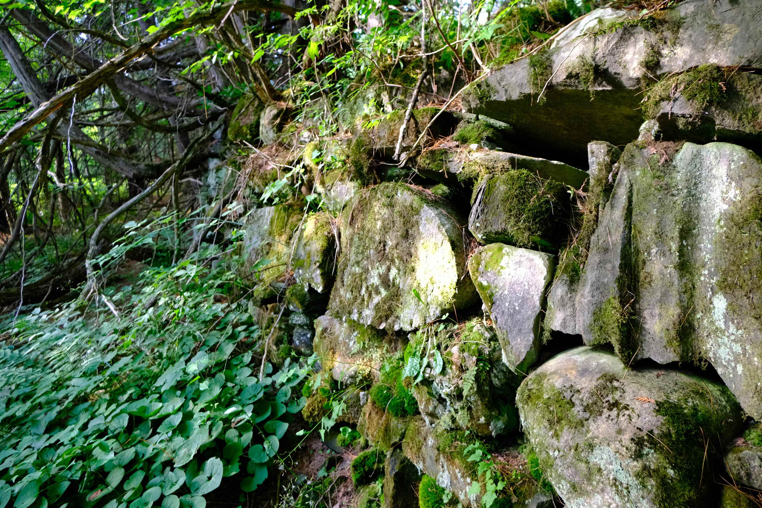 0 Calendar Brook Road Lyndonville, VT 05851 - Photo 23 of 60