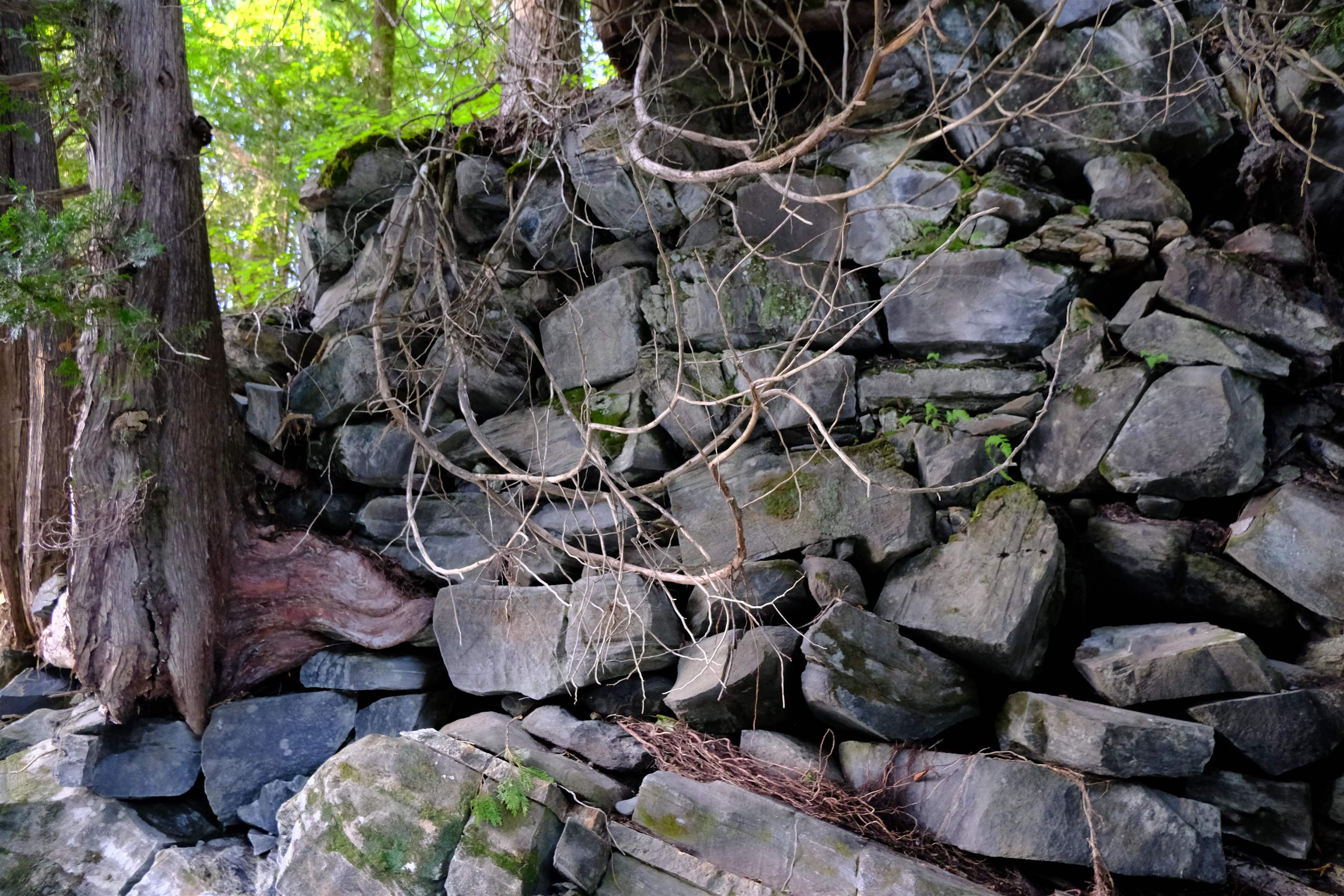 0 Calendar Brook Road Lyndonville, VT 05851 - Photo 24 of 60