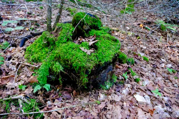 $295,000 | 0 Calendar Brook Road, Lyndonville, VT 05851