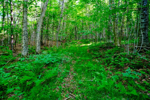 $295,000 | 0 Calendar Brook Road, Lyndonville, VT 05851