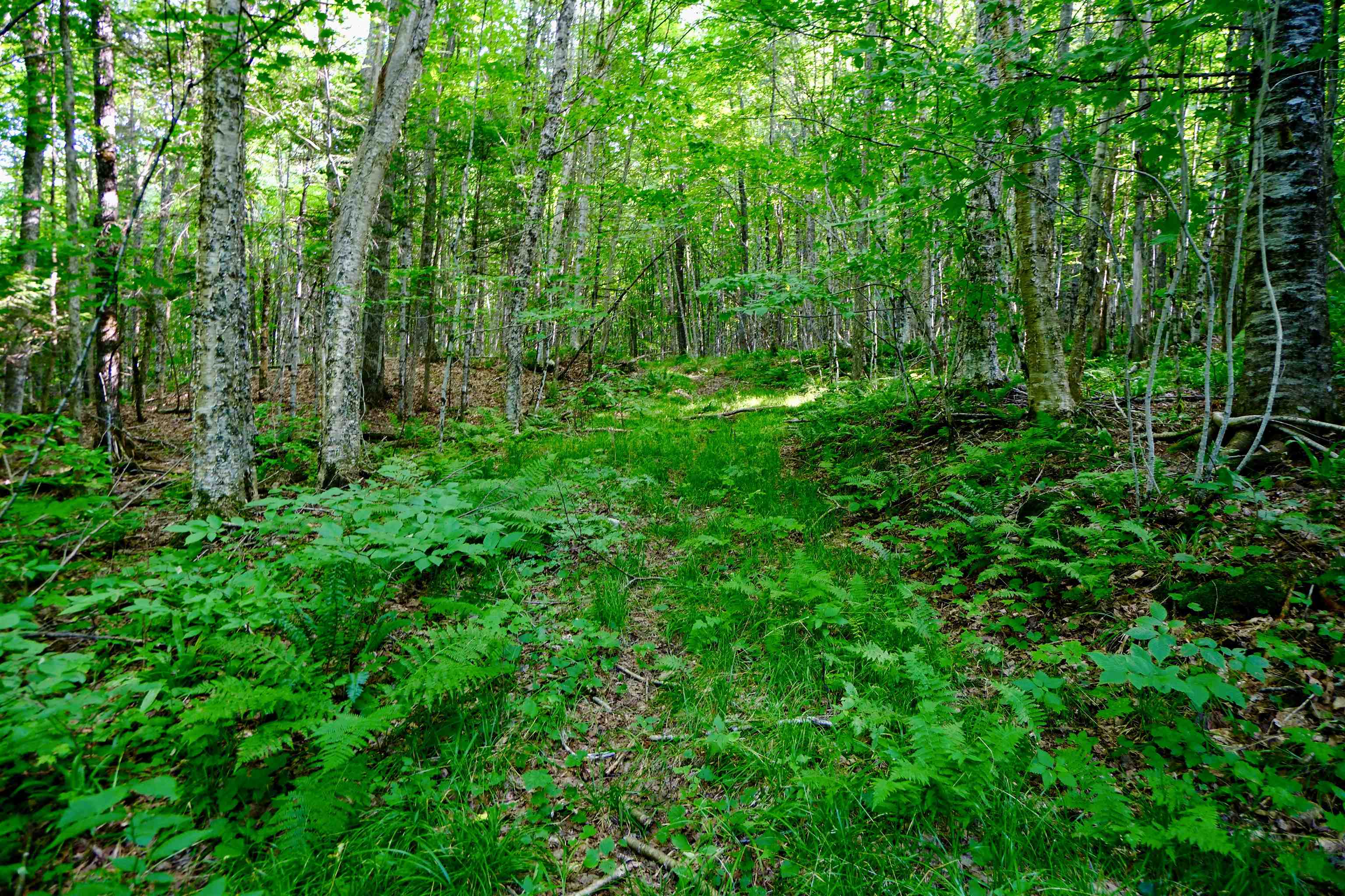0 Calendar Brook Road Lyndonville, VT 05851 - Photo 30 of 60