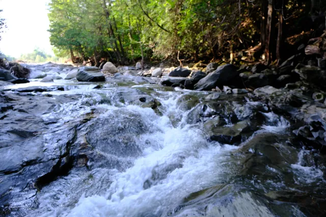 $295,000 | 0 Calendar Brook Road, Lyndonville, VT 05851