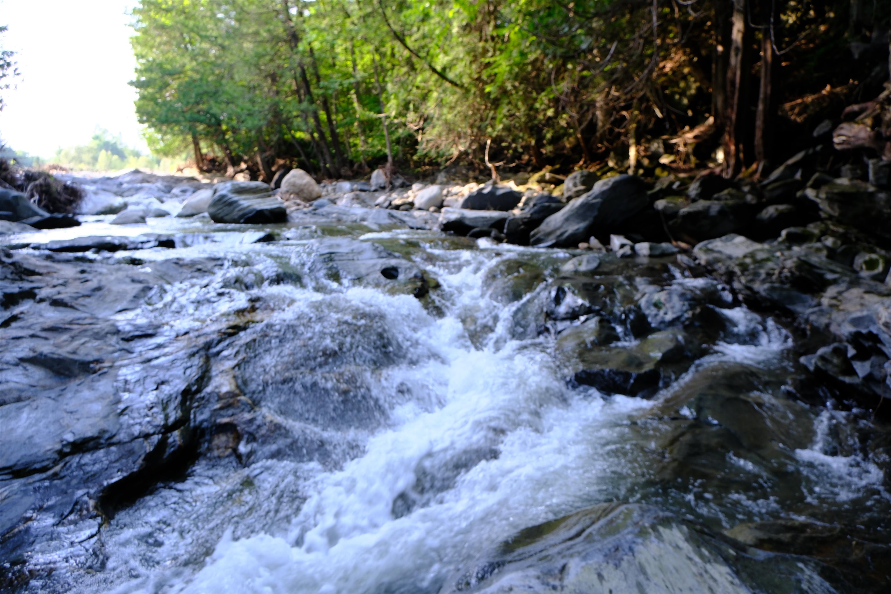 0 Calendar Brook Road Lyndonville, VT 05851 - Photo 3 of 60