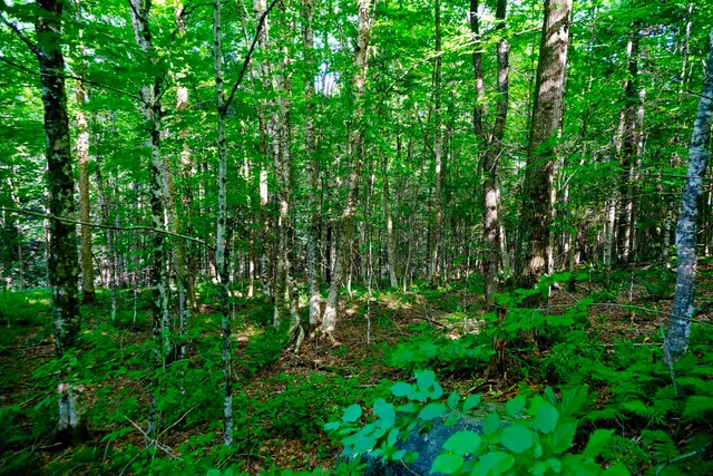 $295,000 | 0 Calendar Brook Road, Lyndonville, VT 05851