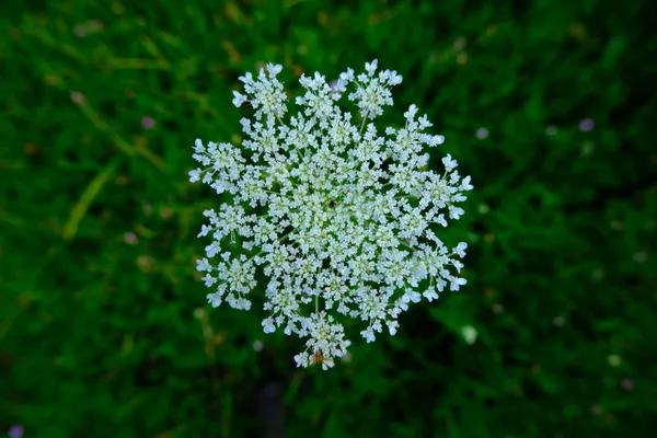 $295,000 | 0 Calendar Brook Road, Lyndonville, VT 05851