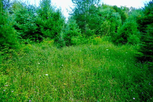 $295,000 | 0 Calendar Brook Road, Lyndonville, VT 05851