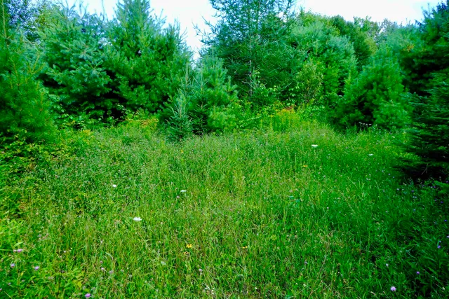 $295,000 | 0 Calendar Brook Road, Lyndonville, VT 05851