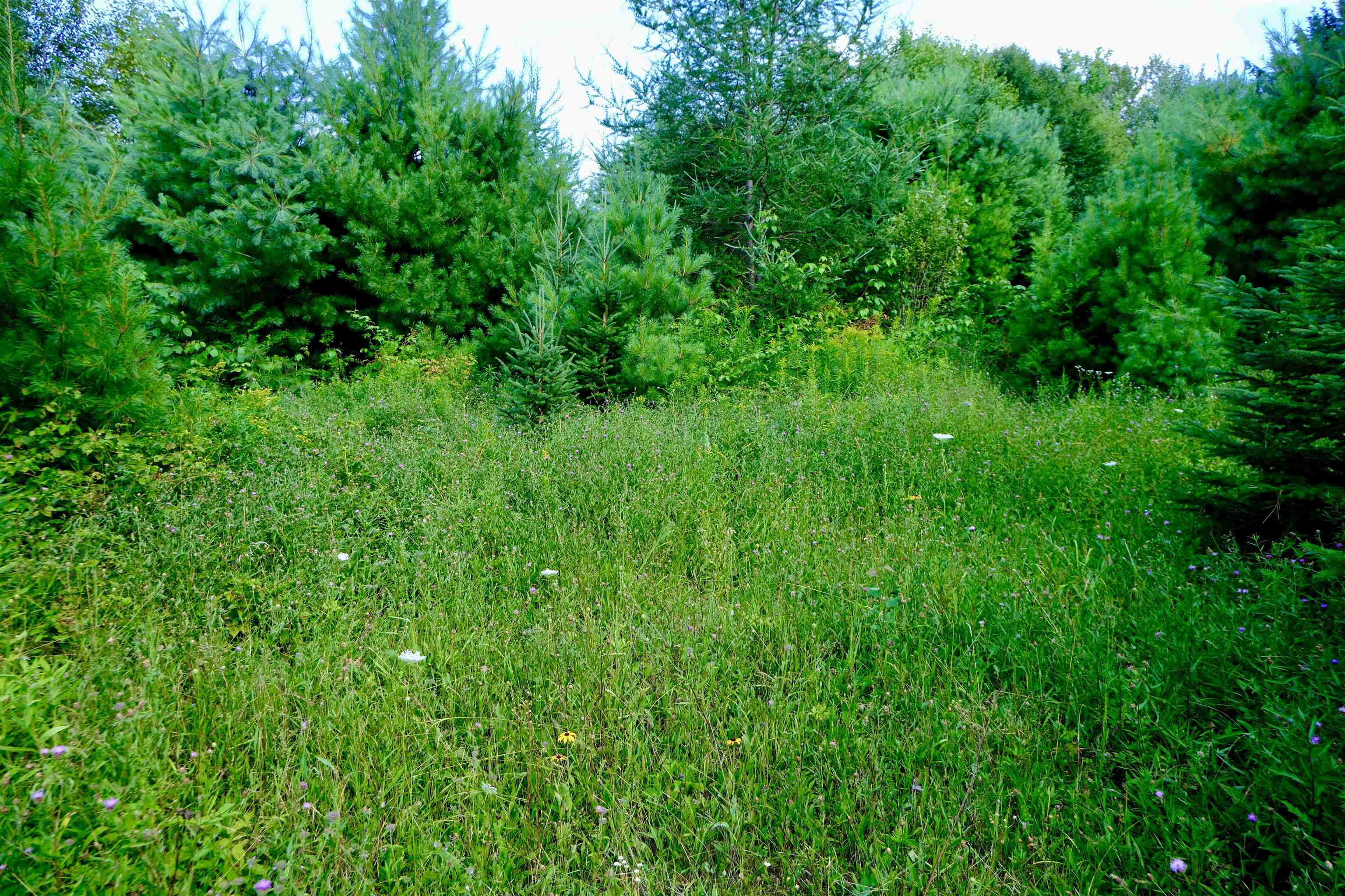 0 Calendar Brook Road Lyndonville, VT 05851 - Photo 39 of 60