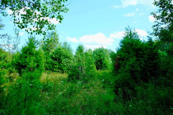 $295,000 | 0 Calendar Brook Road, Lyndonville, VT 05851