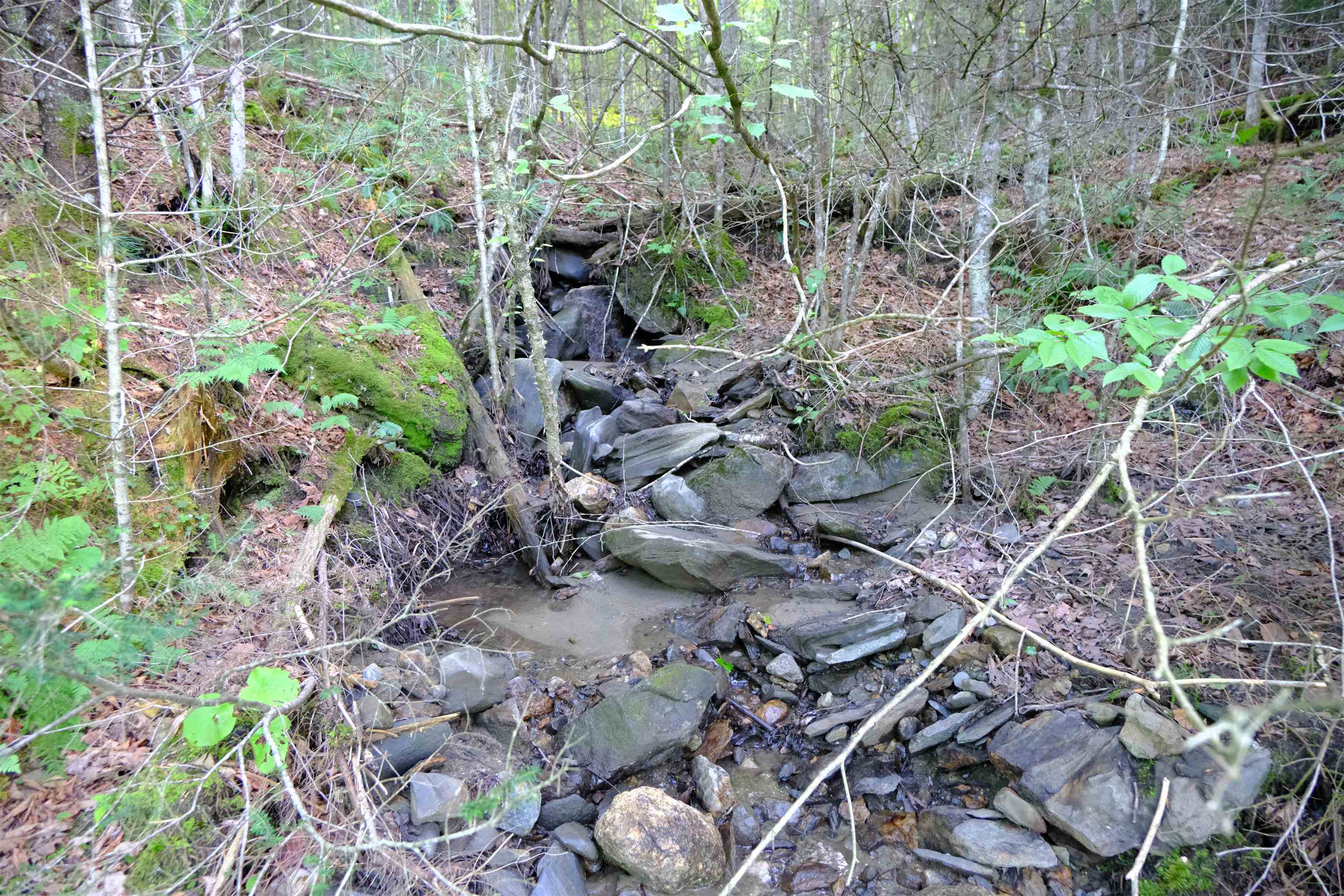 0 Calendar Brook Road Lyndonville, VT 05851 - Photo 43 of 60