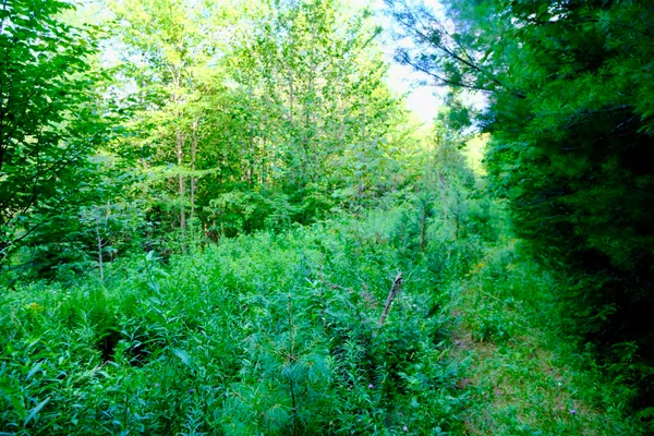 $295,000 | 0 Calendar Brook Road, Lyndonville, VT 05851