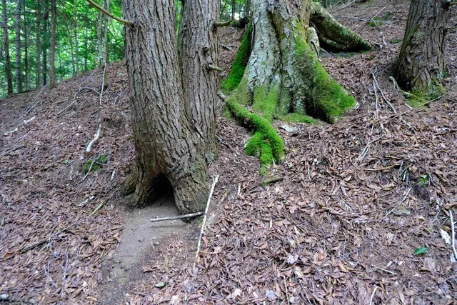 $295,000 | 0 Calendar Brook Road, Lyndonville, VT 05851