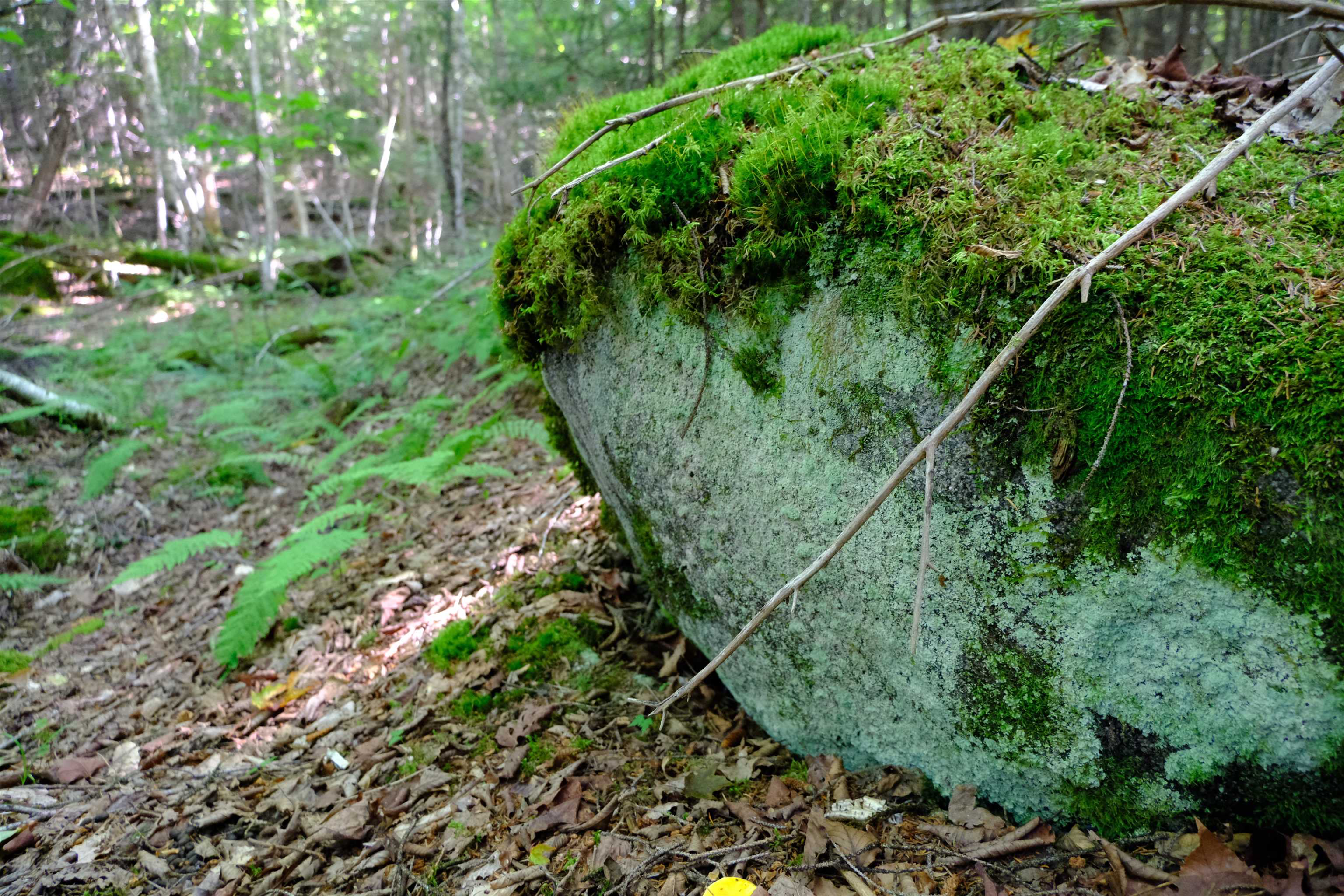0 Calendar Brook Road Lyndonville, VT 05851 - Photo 54 of 60
