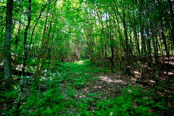 $295,000 | 0 Calendar Brook Road, Lyndonville, VT 05851