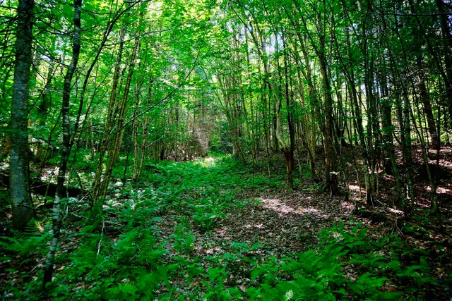 $295,000 | 0 Calendar Brook Road, Lyndonville, VT 05851