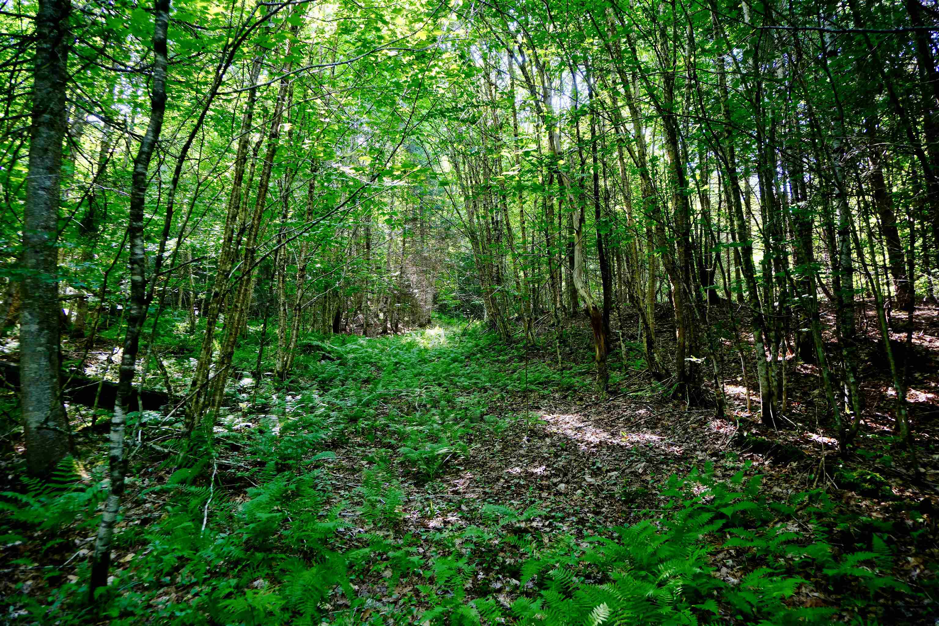 0 Calendar Brook Road Lyndonville, VT 05851 - Photo 59 of 60