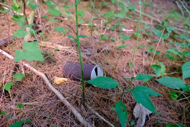 $295,000 | 0 Calendar Brook Road, Lyndonville, VT 05851