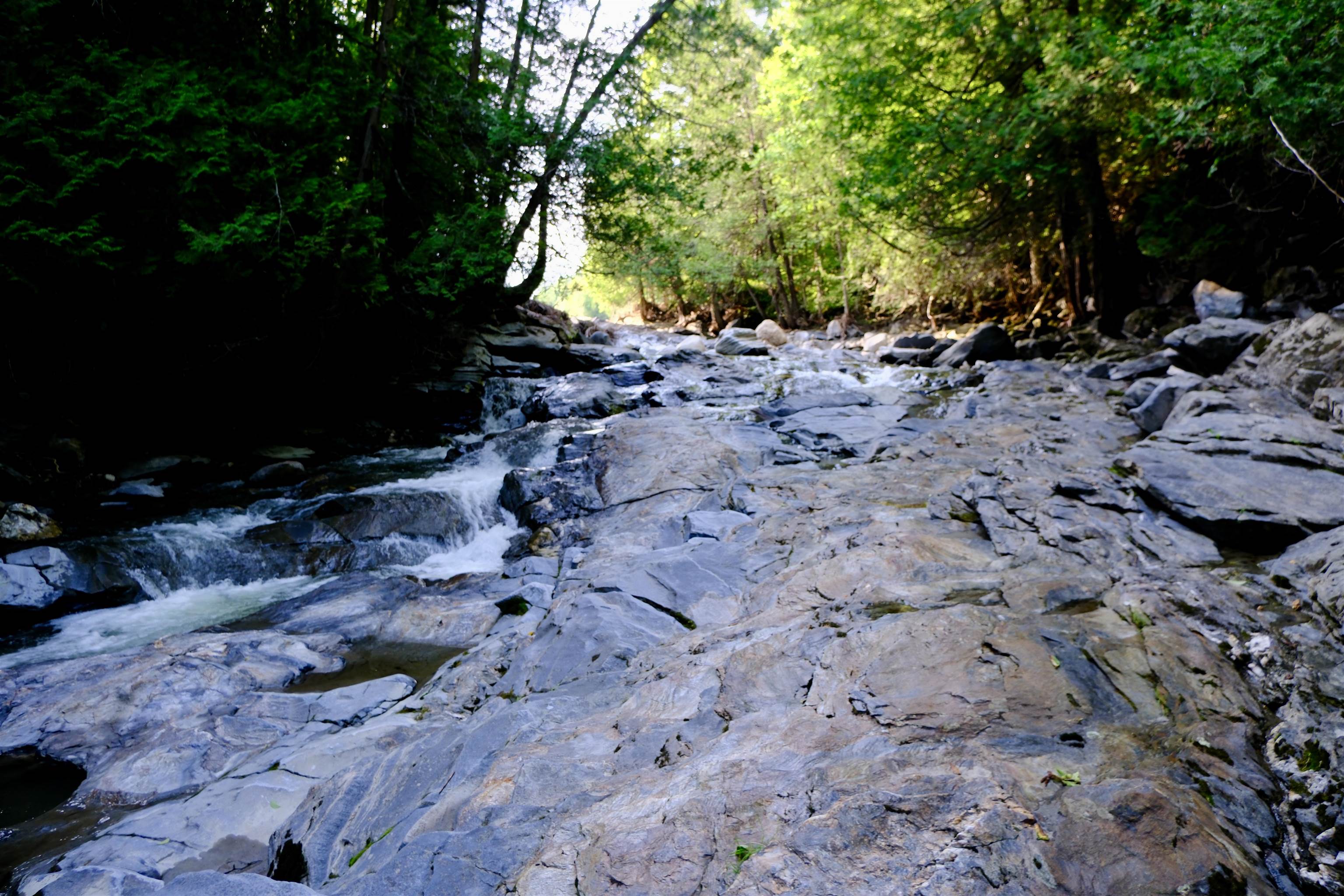0 Calendar Brook Road Lyndonville, VT 05851 - Photo 6 of 60