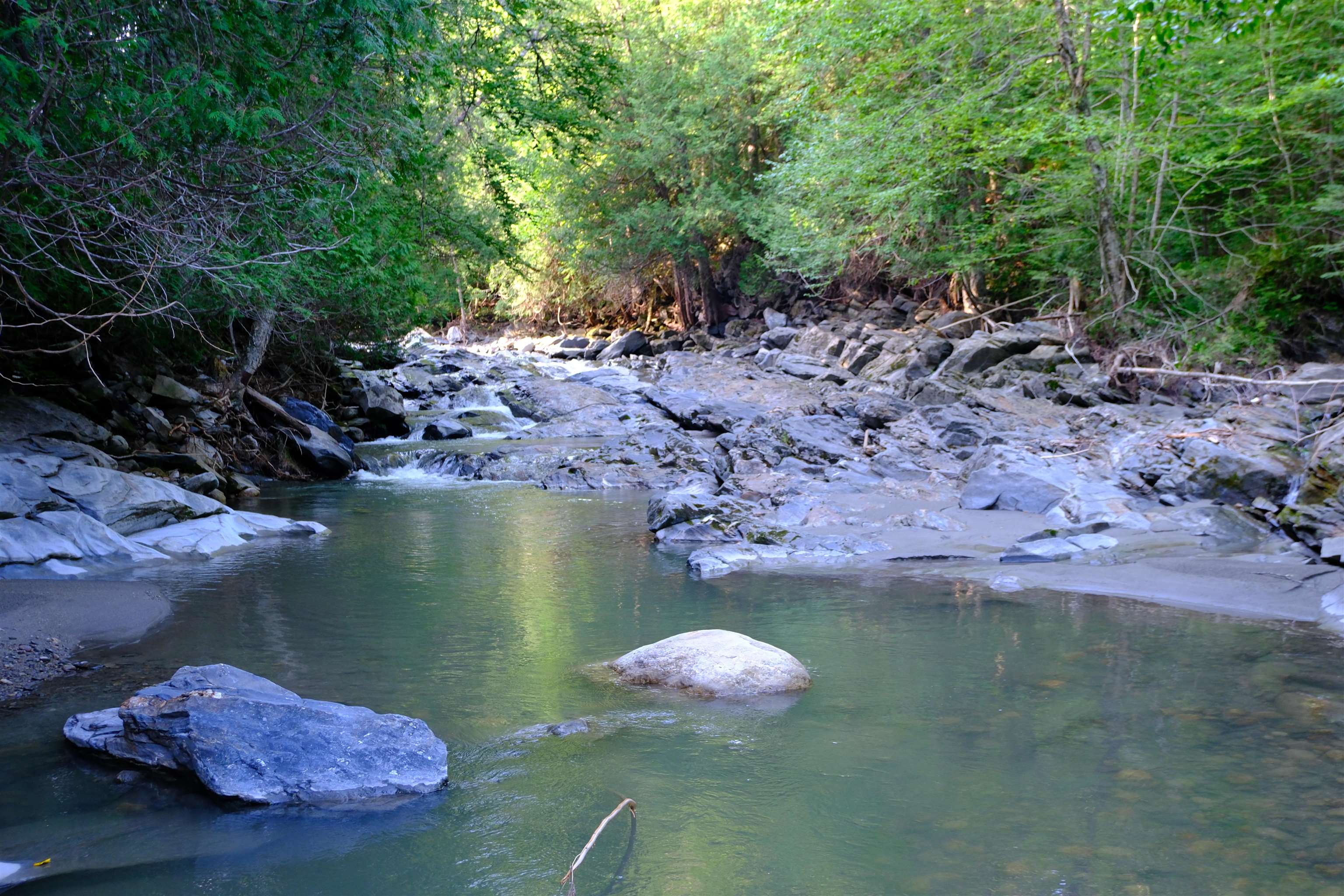 0 Calendar Brook Road Lyndonville, VT 05851 - Photo 8 of 60
