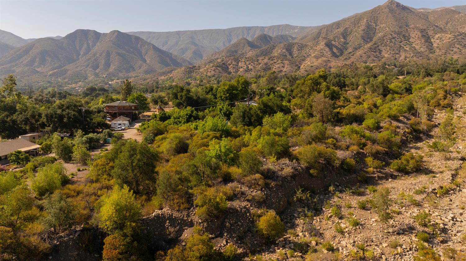 a view of a forest with mountains in the background