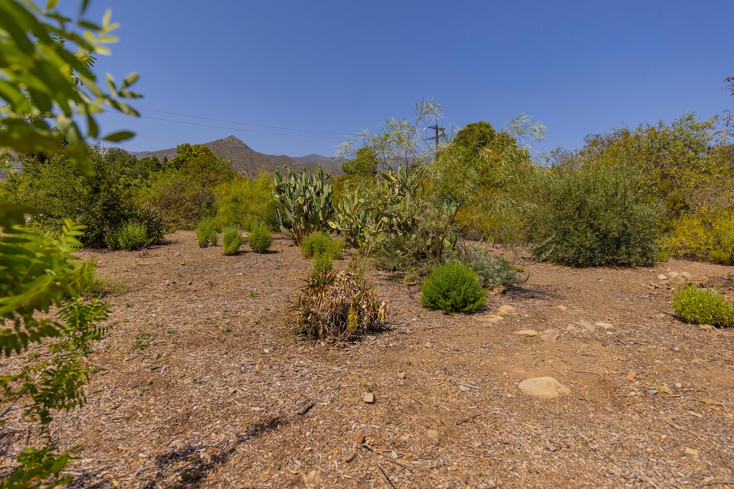 0 Hendrickson Road Ojai, CA 93023 - Photo 11 of 13 a view of a field with a tree in the background