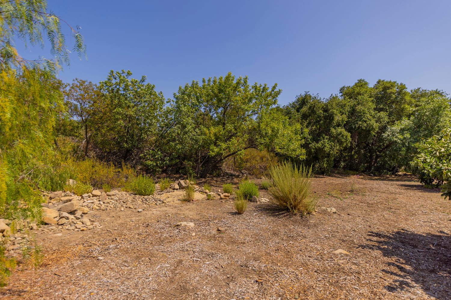 0 Hendrickson Road Ojai, CA 93023 - Photo 12 of 13 a view of a yard with a tree