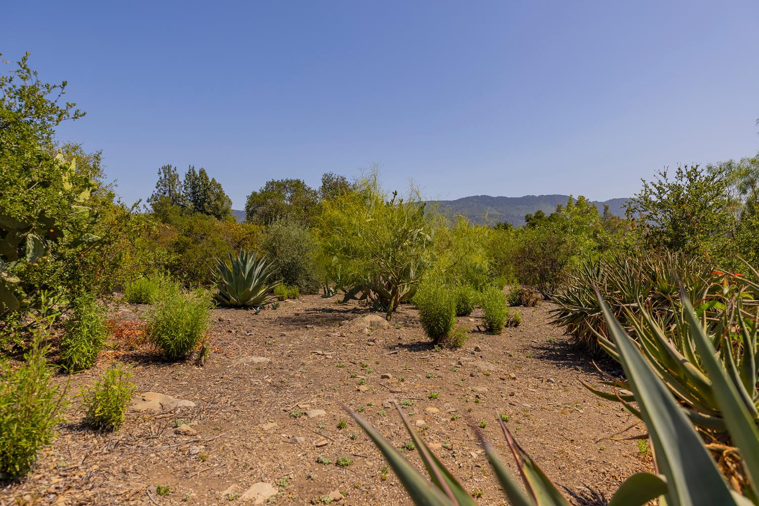 0 Hendrickson Road Ojai, CA 93023 - Photo 5 of 13 a view of a backyard of the house