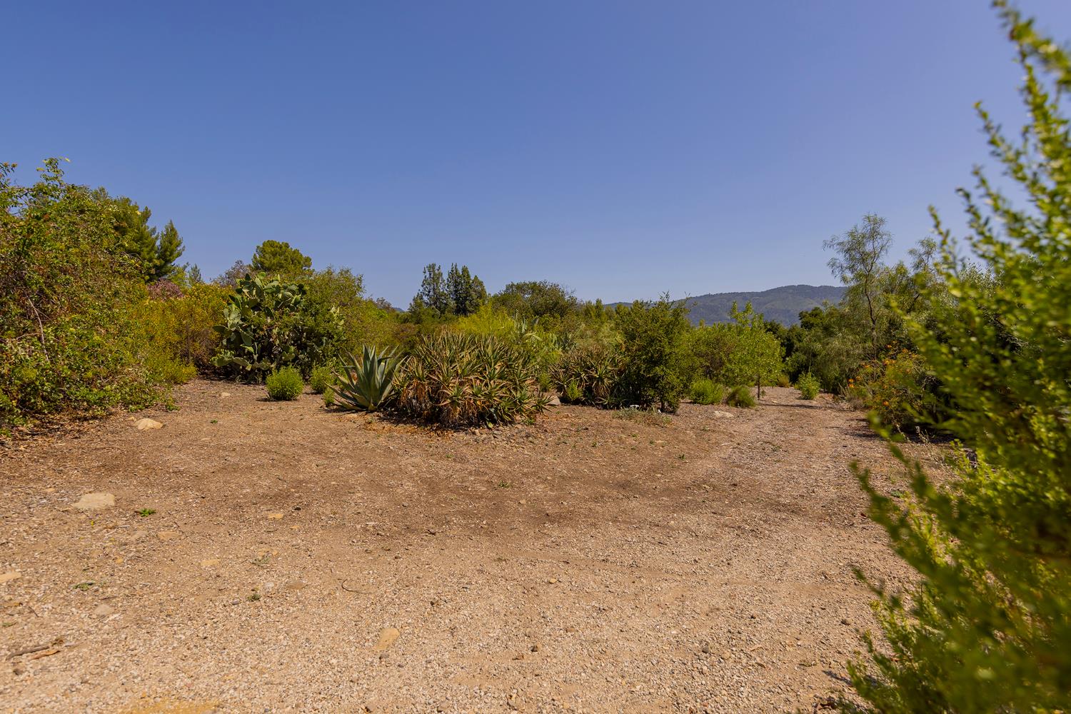 0 Hendrickson Road Ojai, CA 93023 - Photo 7 of 13 a view of a dry yard with trees