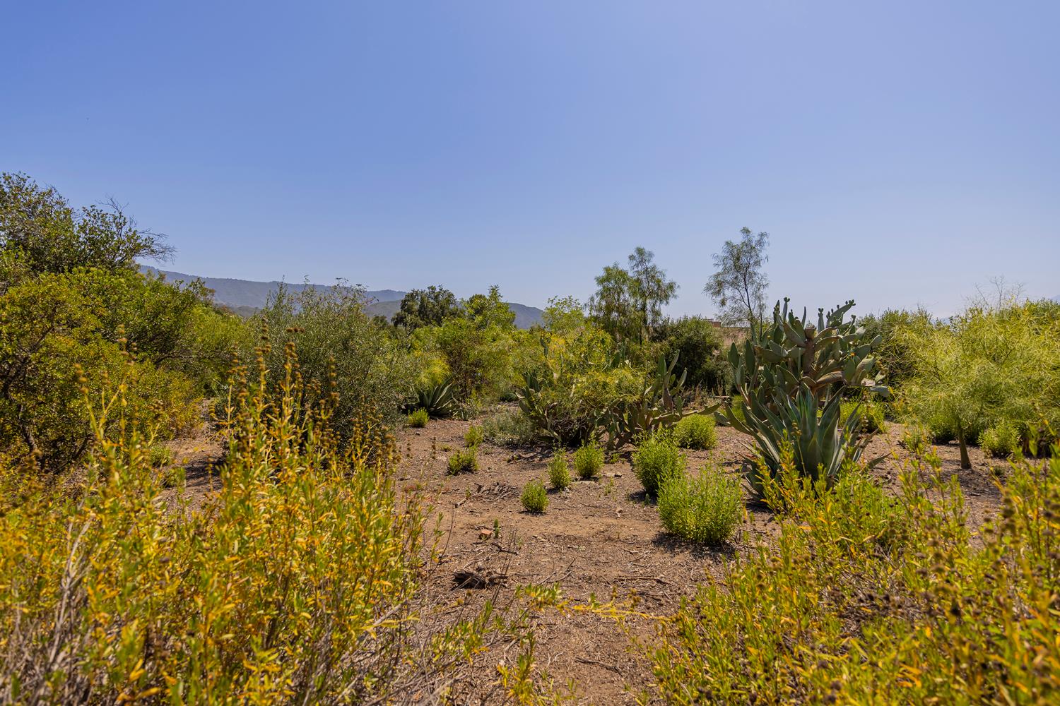 0 Hendrickson Road Ojai, CA 93023 - Photo 10 of 13 a view of a yard