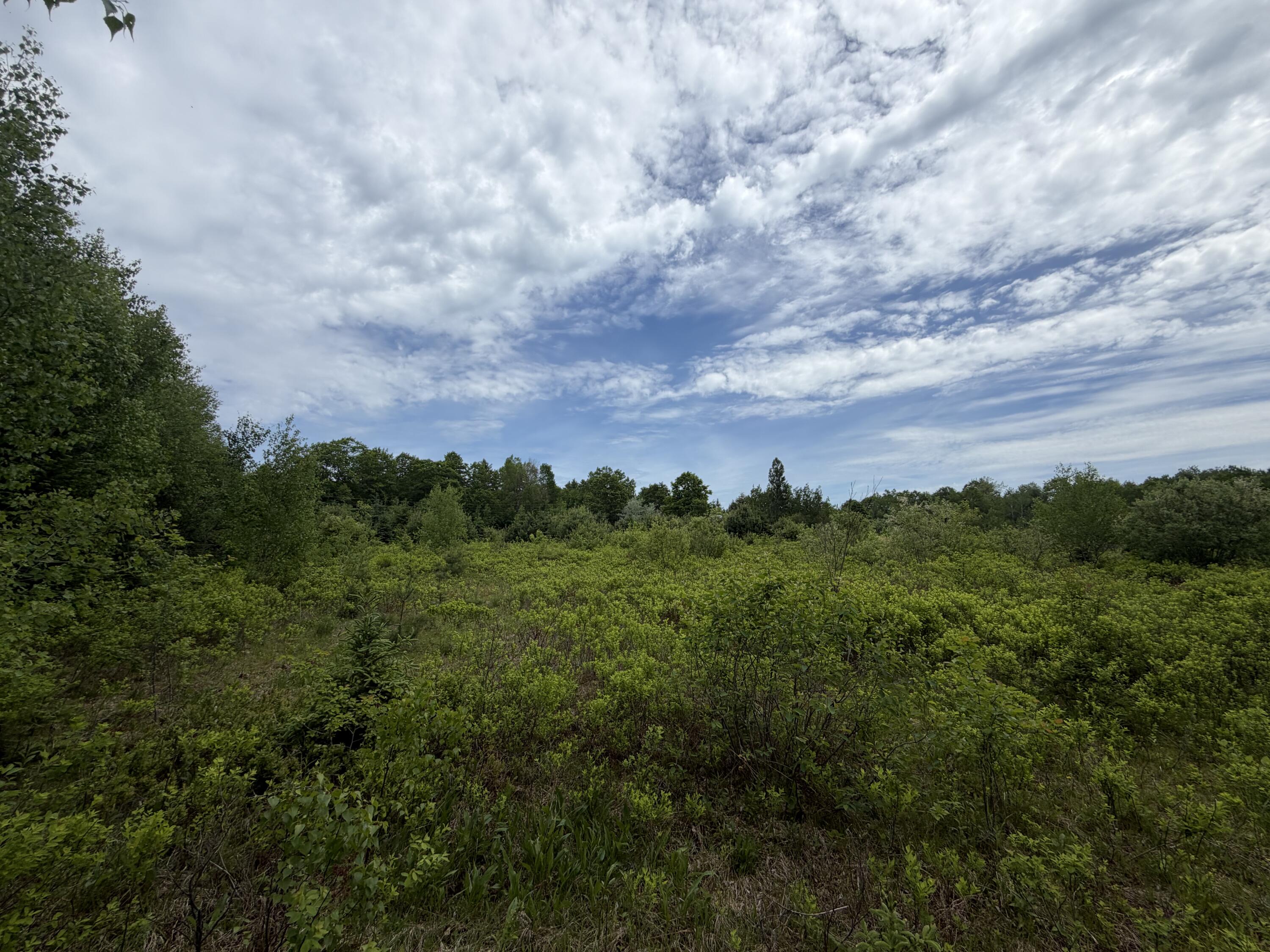 M7-l6a Osgood Road Carroll Plt, ME 04487 - Photo 3 of 6