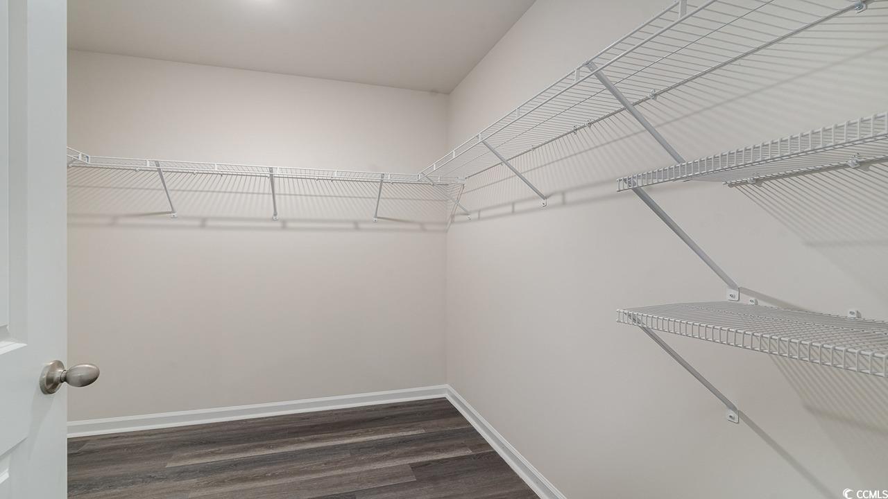 6059 Fuller Rdg Court Conway, SC 29526 - Photo 15 of 23 Spacious closet with dark wood-type flooring