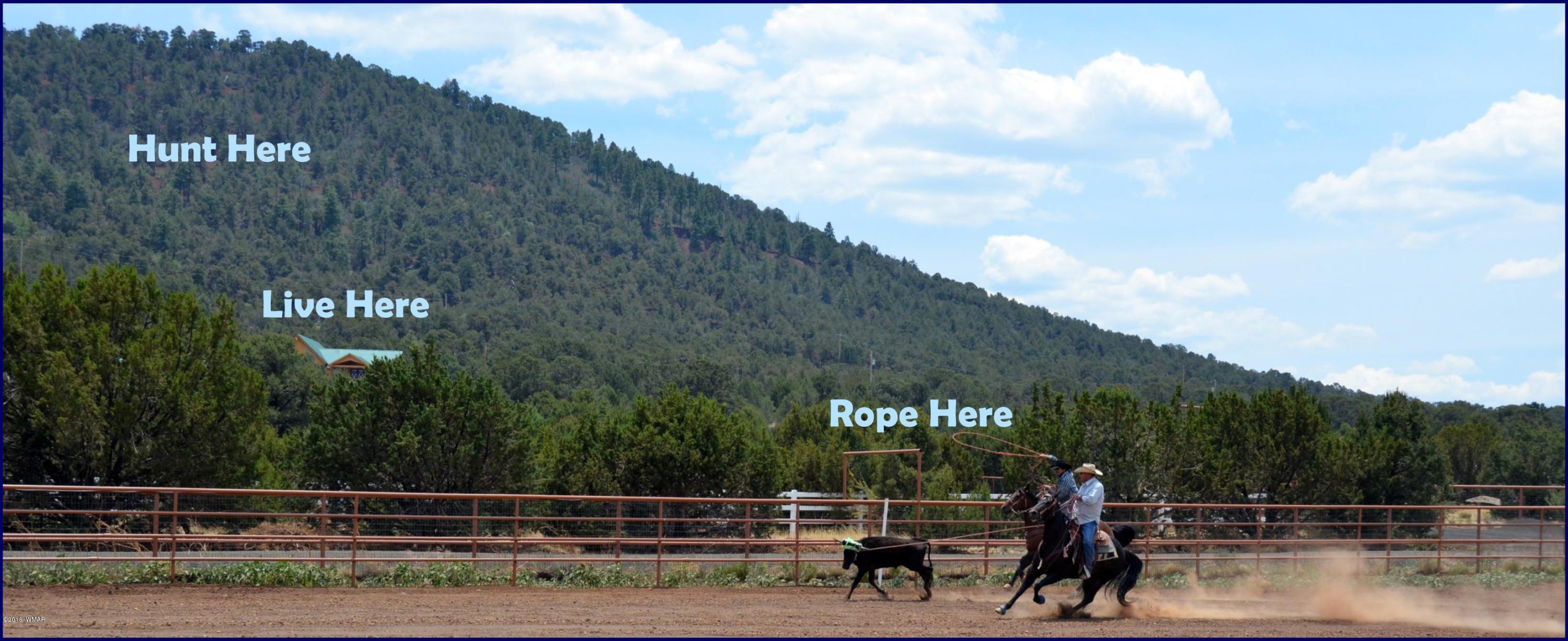 38 North Acr 3139 Road Vernon, AZ 85940 - Photo 18 of 20