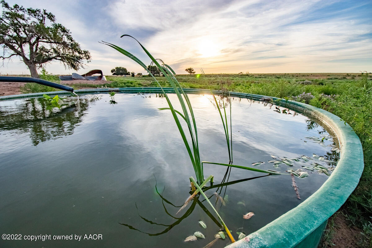 Cemetery Road Canyon, TX 79015 - Photo 19 of 47 a view of a swimming pool with a porch