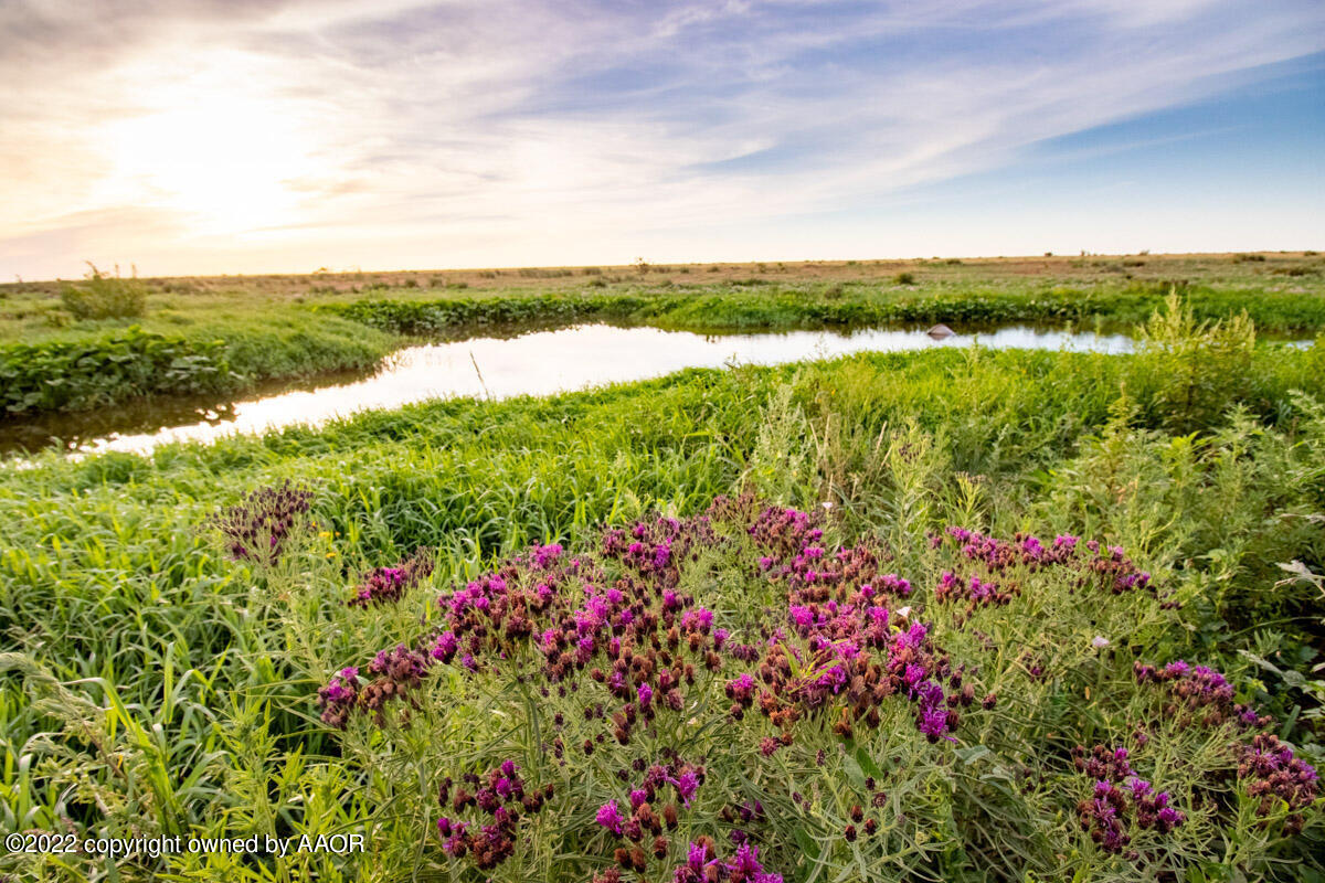 Cemetery Road Canyon, TX 79015 - Photo 20 of 47 a view of a city with lots of flower and trees