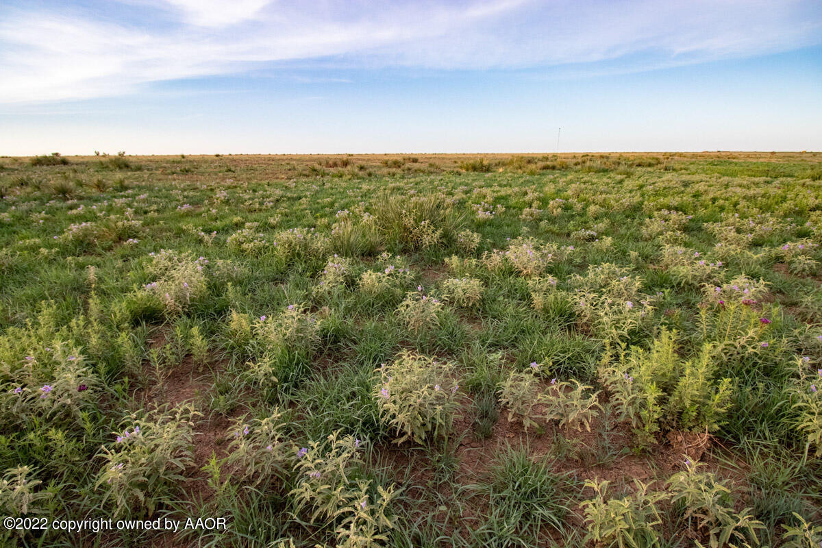 Cemetery Road Canyon, TX 79015 - Photo 23 of 47 an aerial view of house with yard