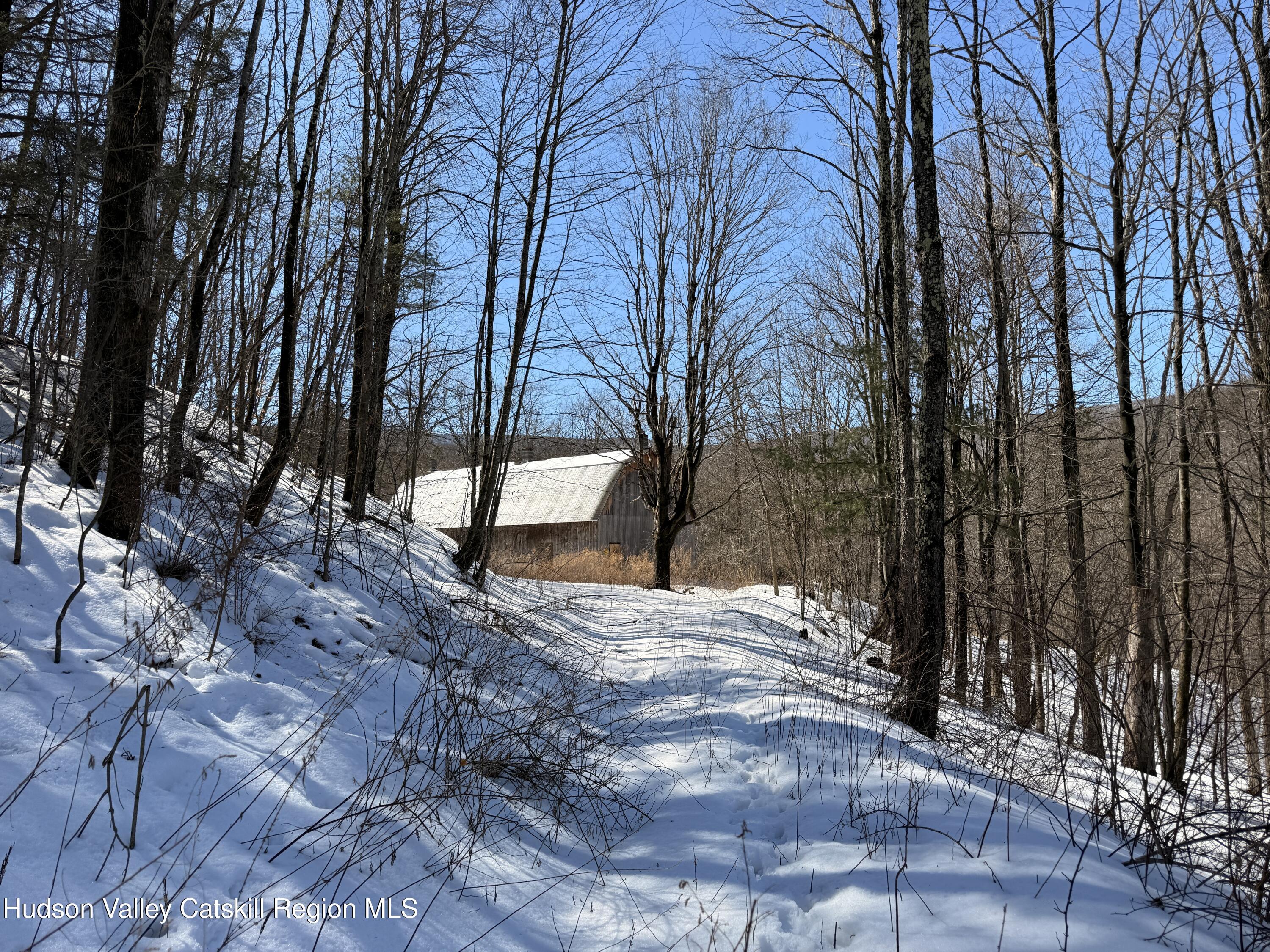 30 Harter Road West Kill, NY 12492 - Photo 11 of 32 a view of backyard with green space
