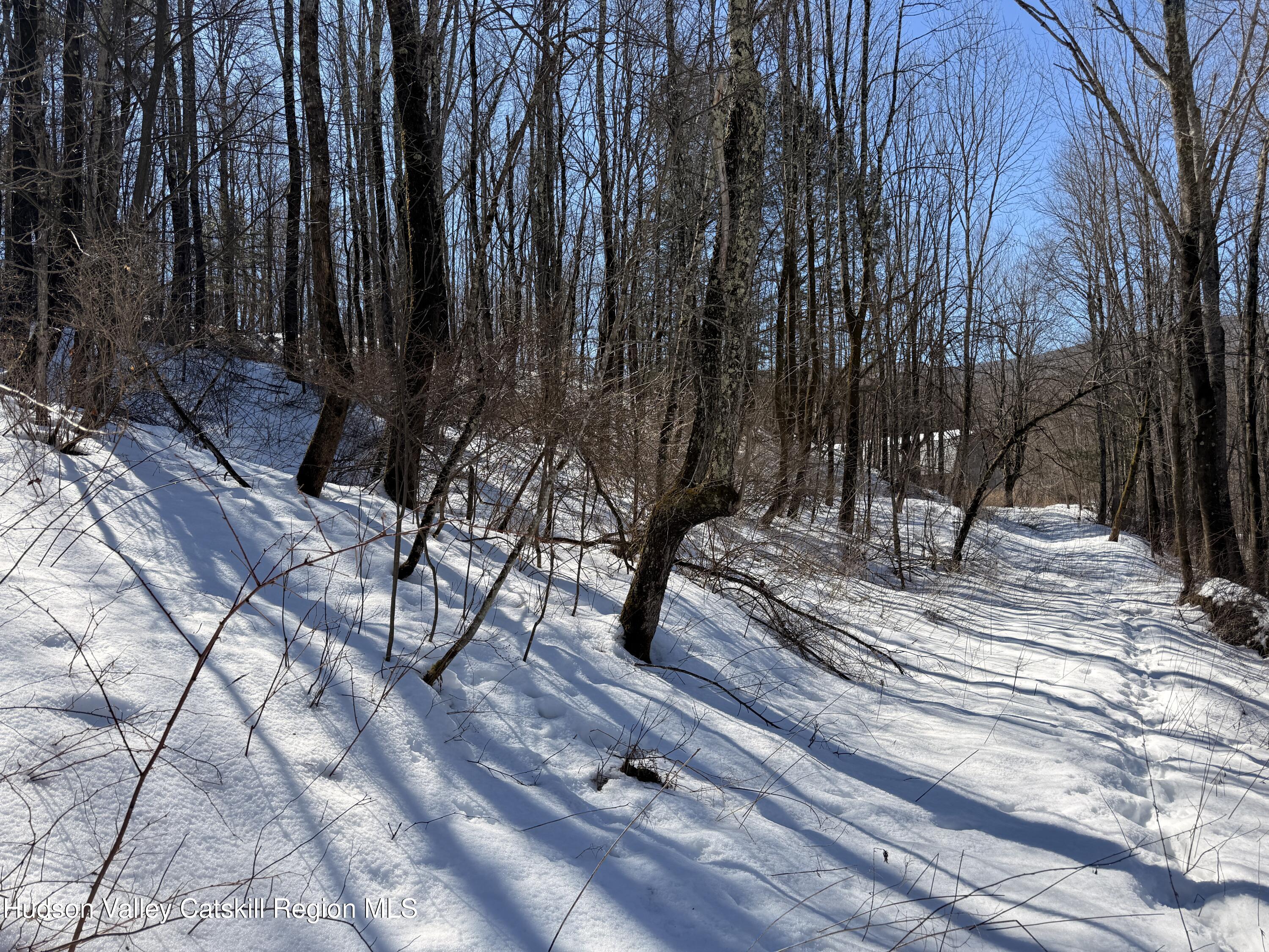 30 Harter Road West Kill, NY 12492 - Photo 12 of 32 a view of outdoor space with sitting area