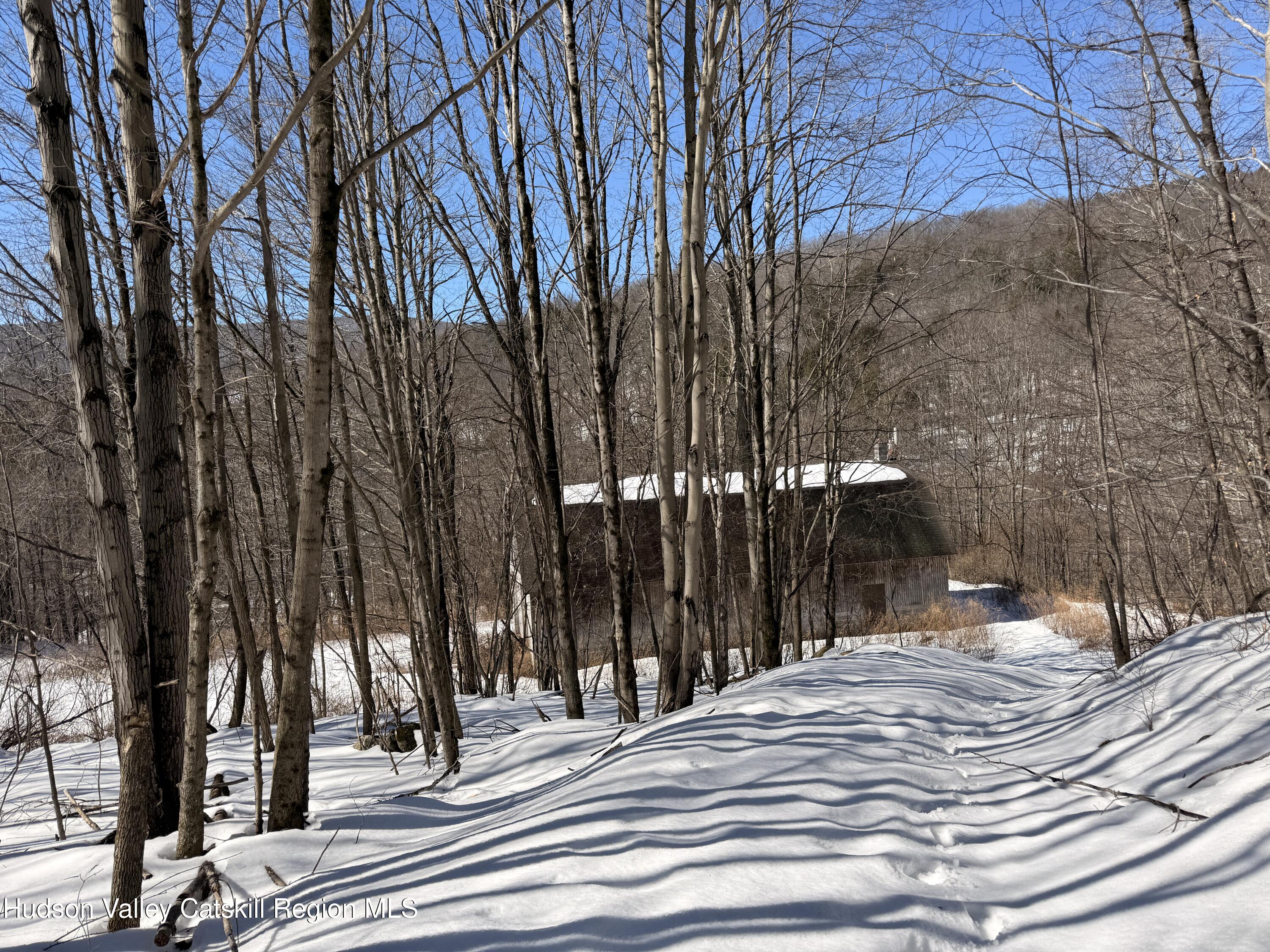 30 Harter Road West Kill, NY 12492 - Photo 13 of 32 a view of a house with a snow on the road