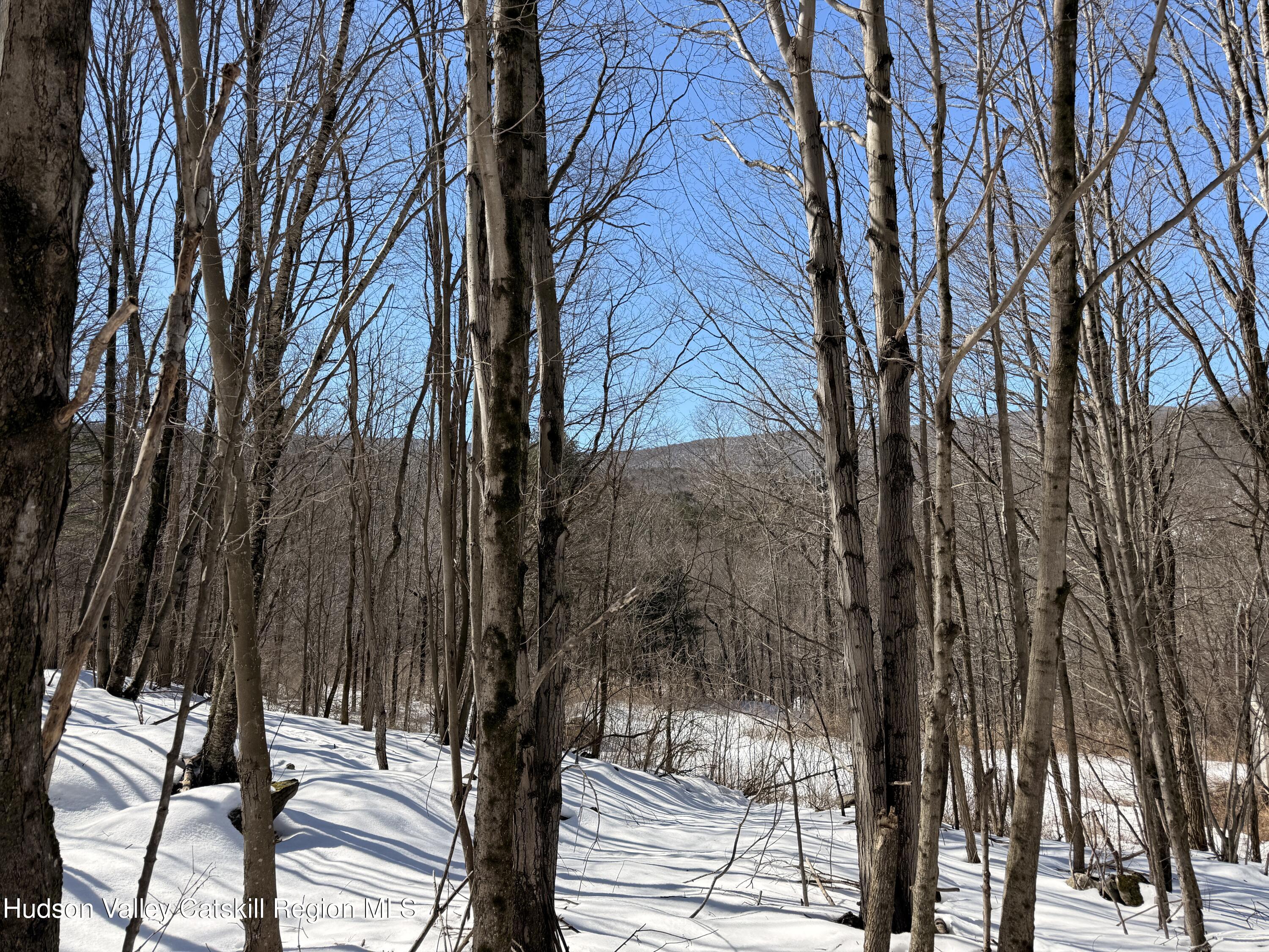30 Harter Road West Kill, NY 12492 - Photo 14 of 32 a view of outdoor space and yard