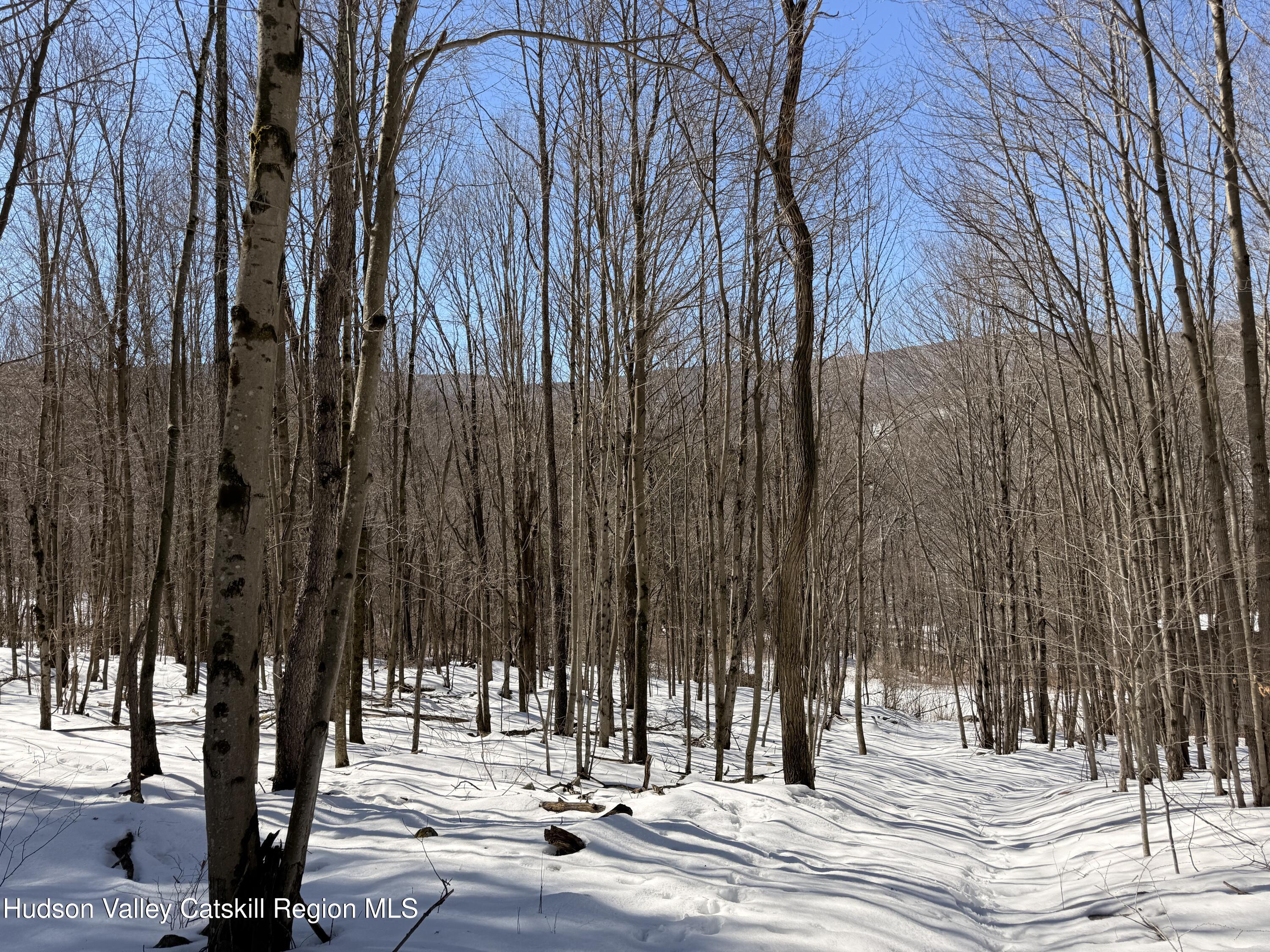30 Harter Road West Kill, NY 12492 - Photo 15 of 32 a view of a park with large trees
