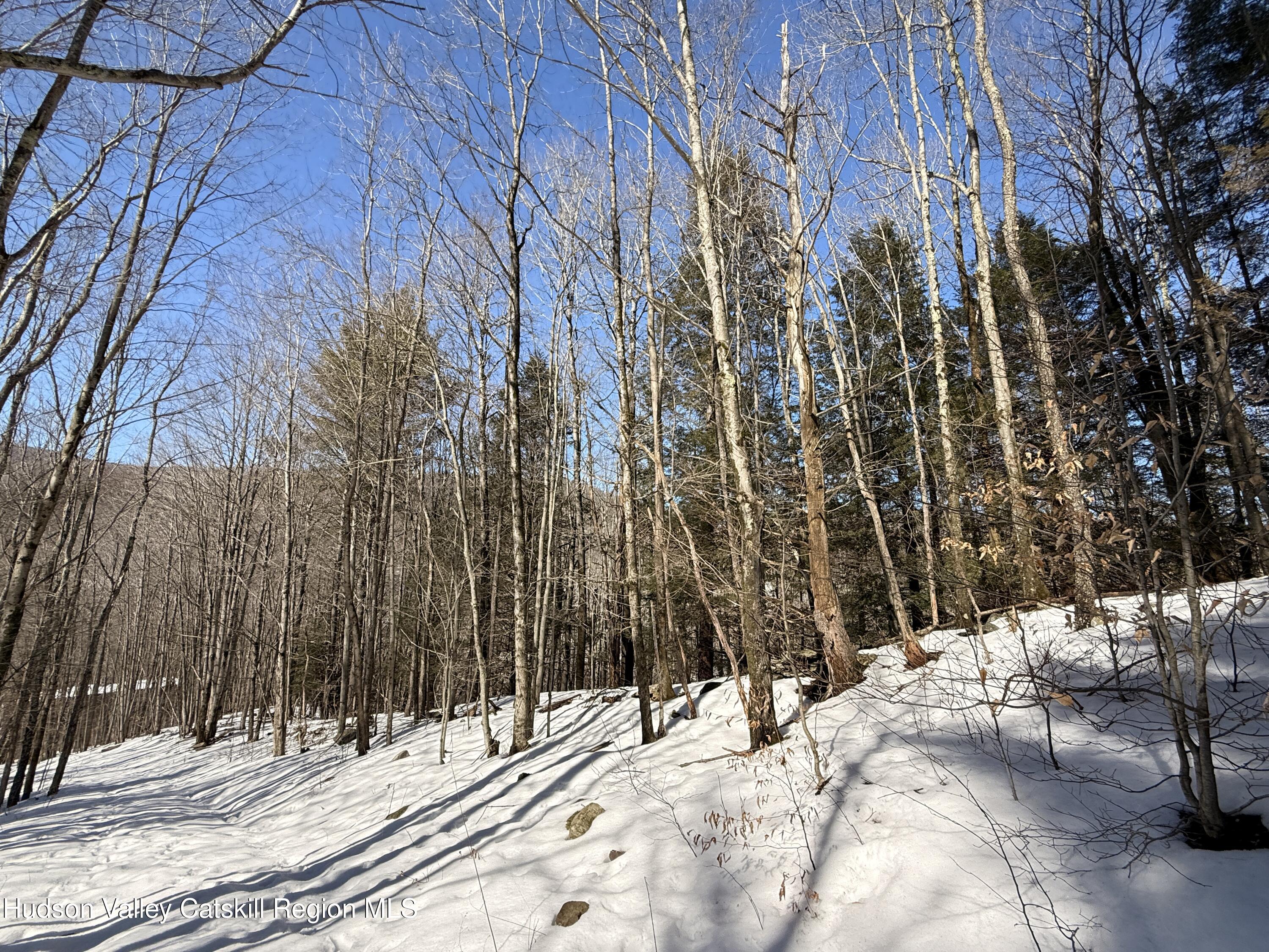 30 Harter Road West Kill, NY 12492 - Photo 16 of 32 a view of a backyard of the house