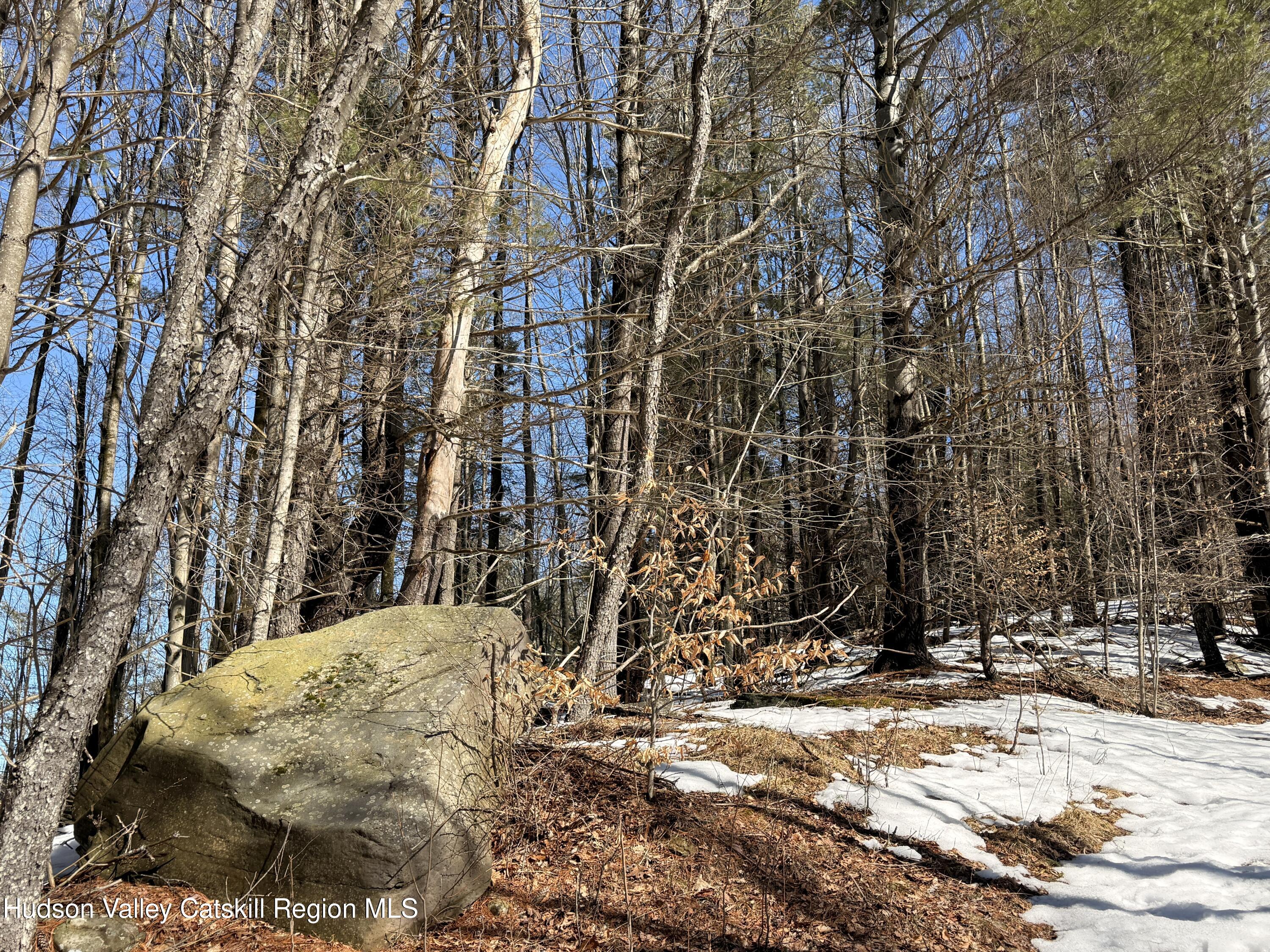 30 Harter Road West Kill, NY 12492 - Photo 17 of 32 a view of outdoor space yard and street