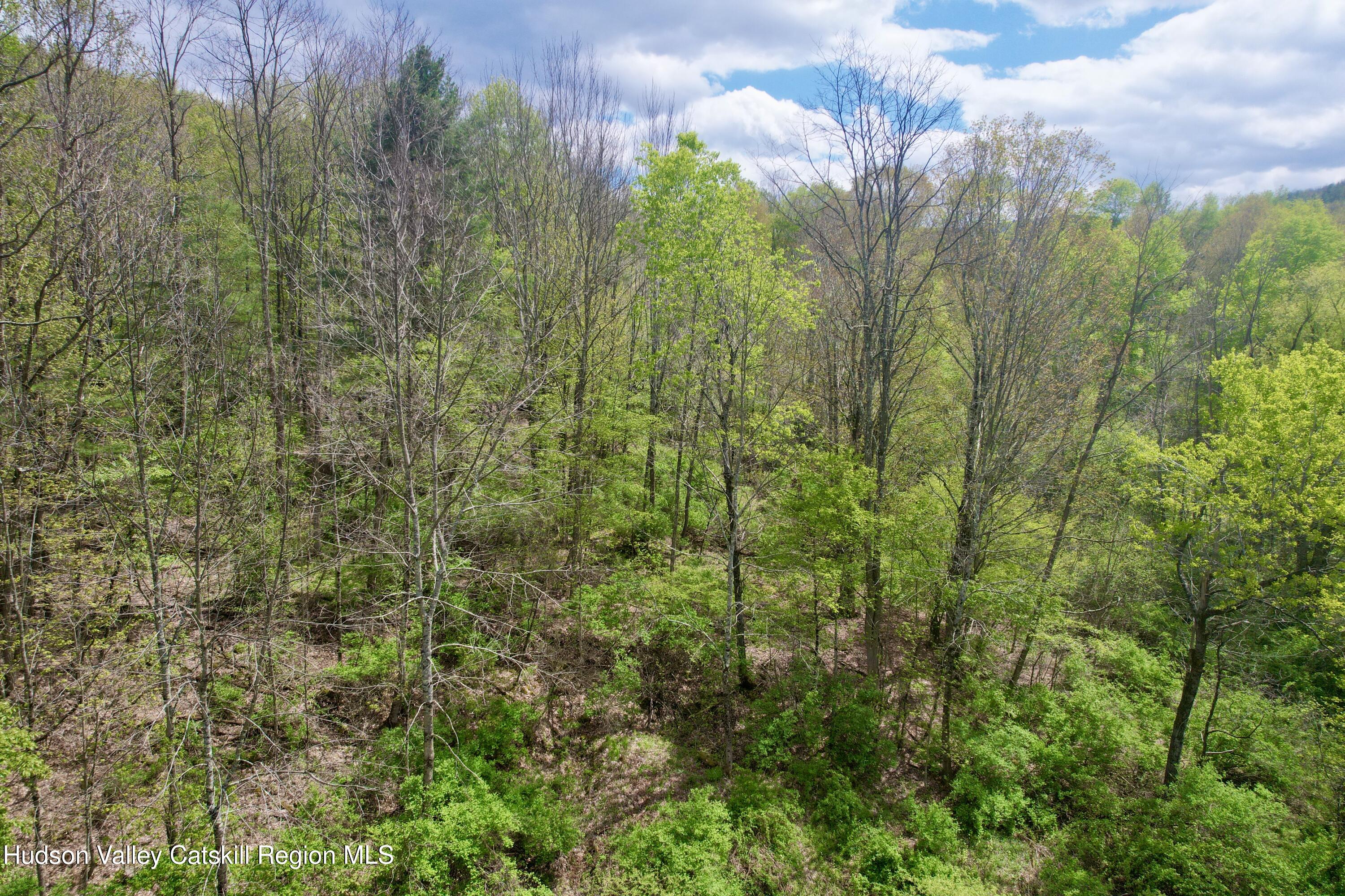 30 Harter Road West Kill, NY 12492 - Photo 18 of 31 dji_fly_20260507_135900_563_177819348983
