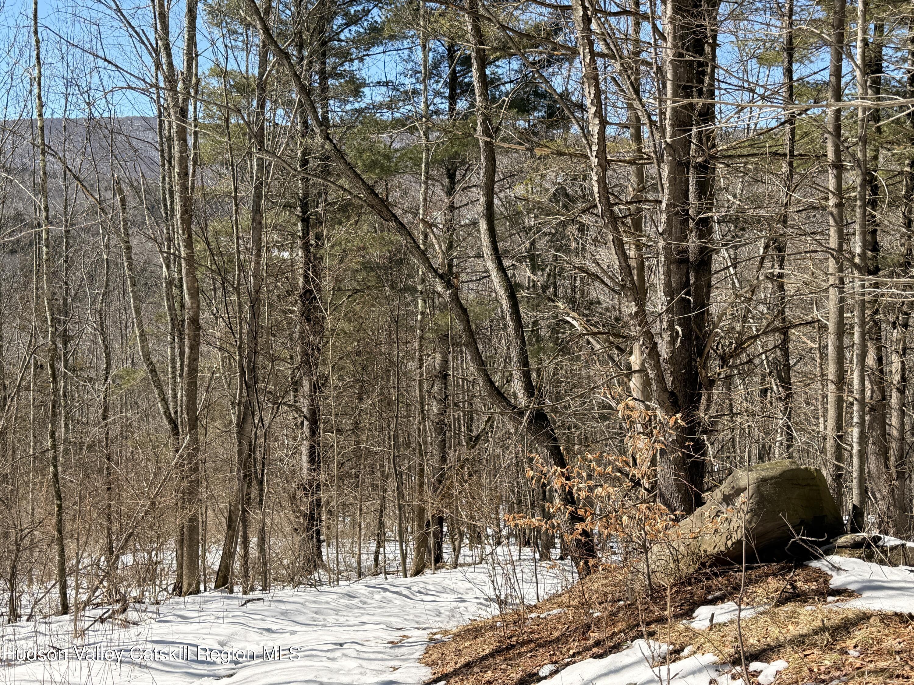 30 Harter Road West Kill, NY 12492 - Photo 18 of 32 a view of a large yard