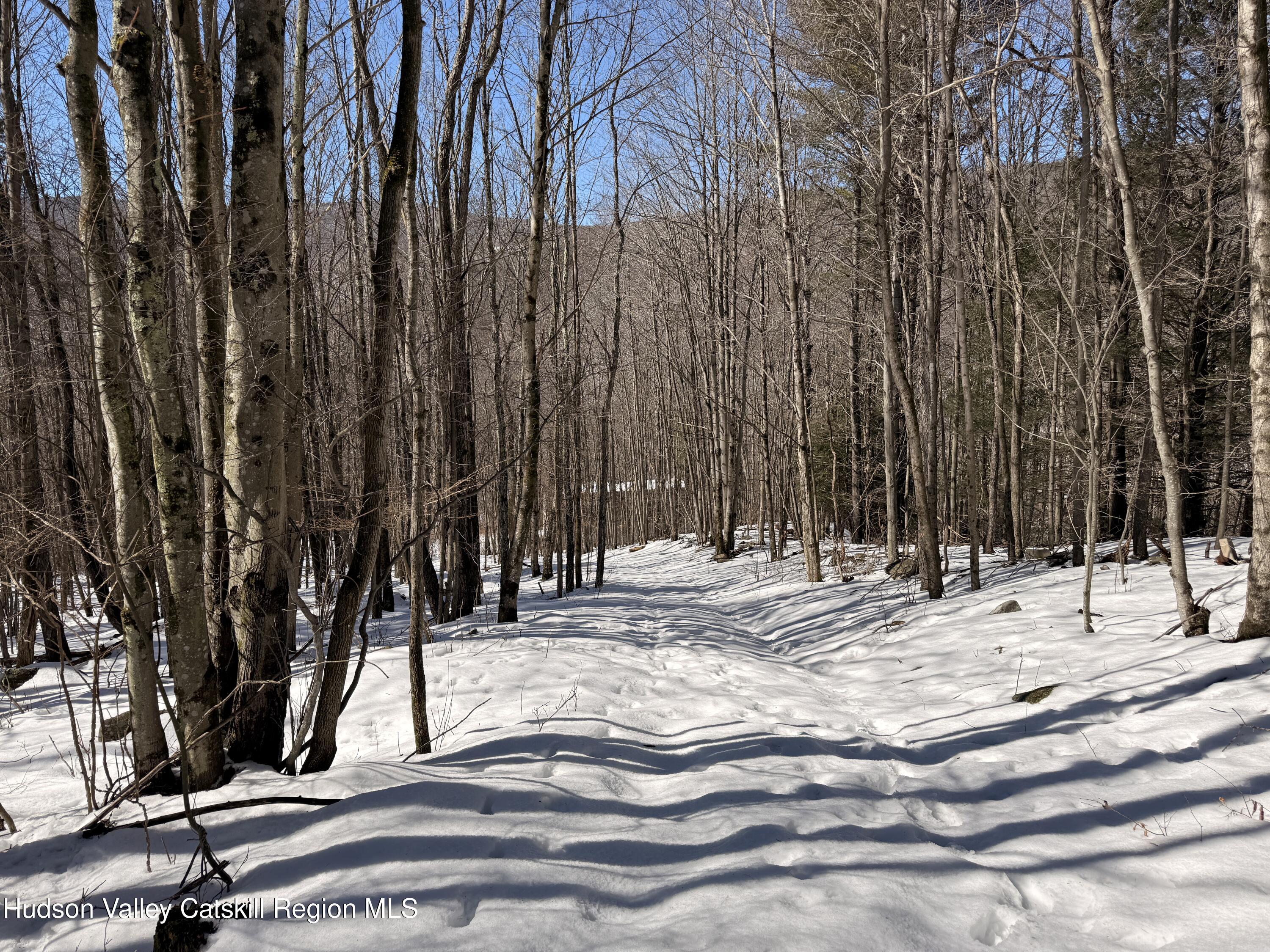 30 Harter Road West Kill, NY 12492 - Photo 19 of 32